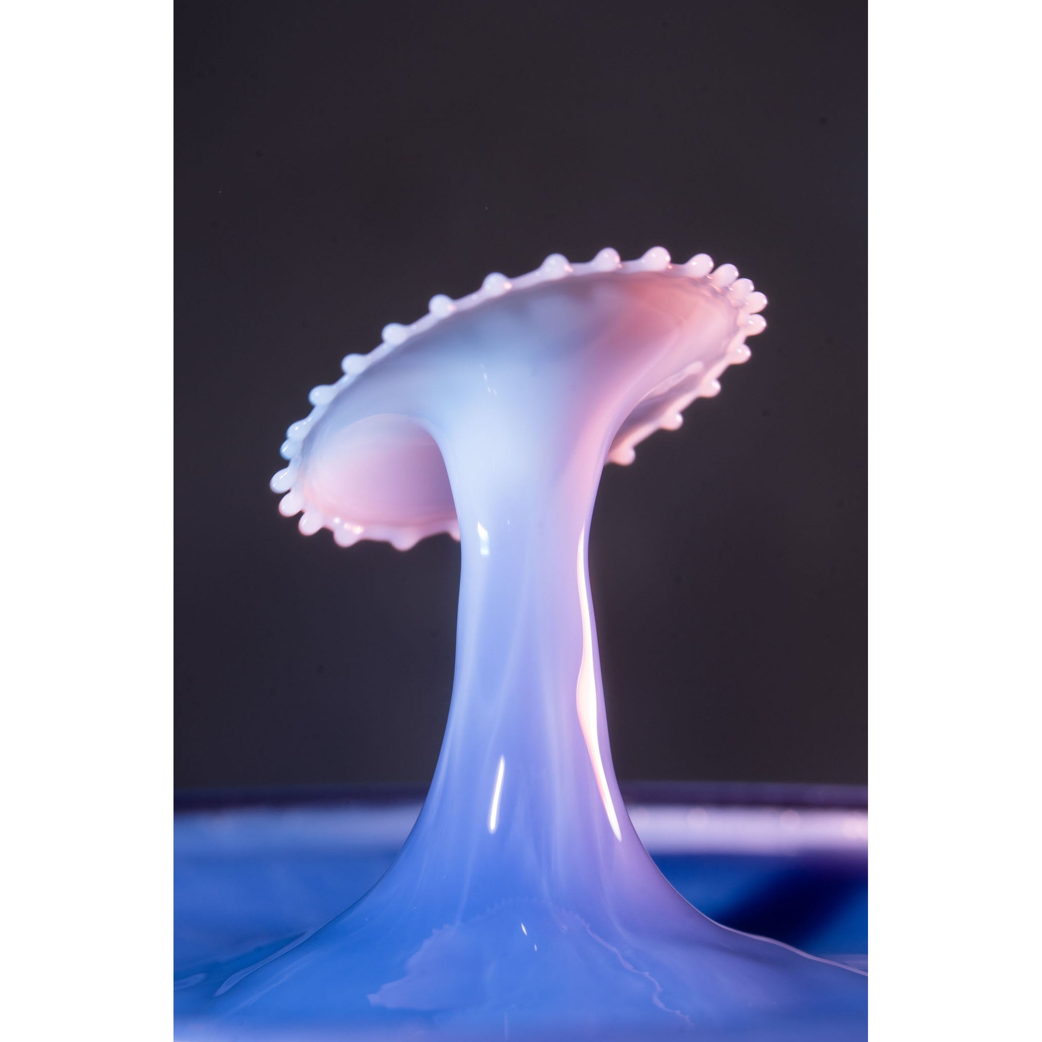 Milk Motion