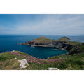 The Rumps - Polzeath